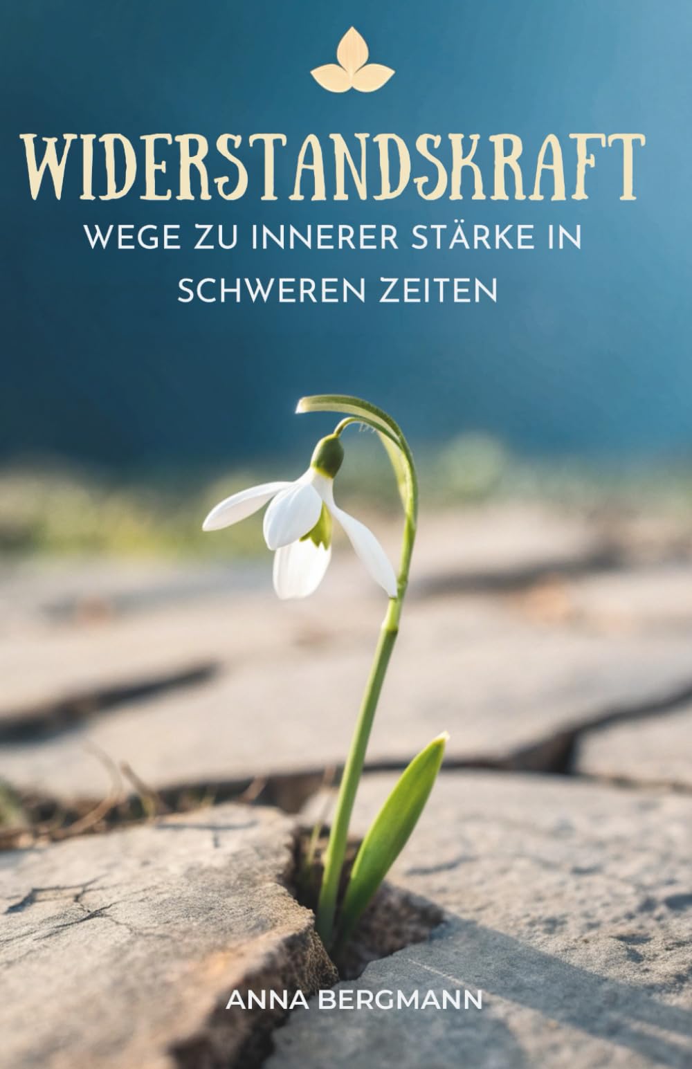 Widerstandskraft: Wege Zu Innerer Stärke In Schweren Zeiten