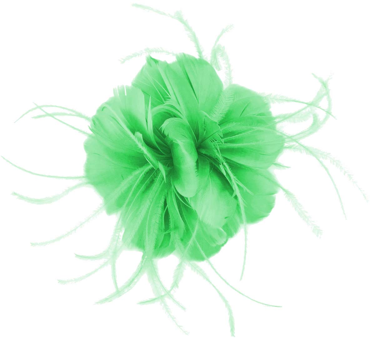 Failsworth Women's Miami Millinery Feather Fascinator In Size: One Size