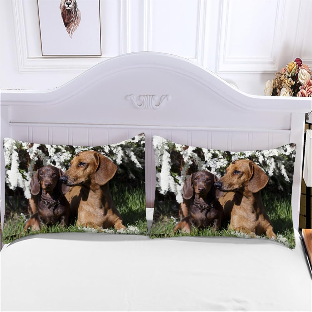 Funda Nordica Cama 105 Juvenil Dachshund Funda Edredon 200x200 Perro Mascota 3D Fundas de Edredón Microfibra Suave Ropa de Cama de 3 Piezas con Cremallera y 2 Fundas de Almohada K-1307
