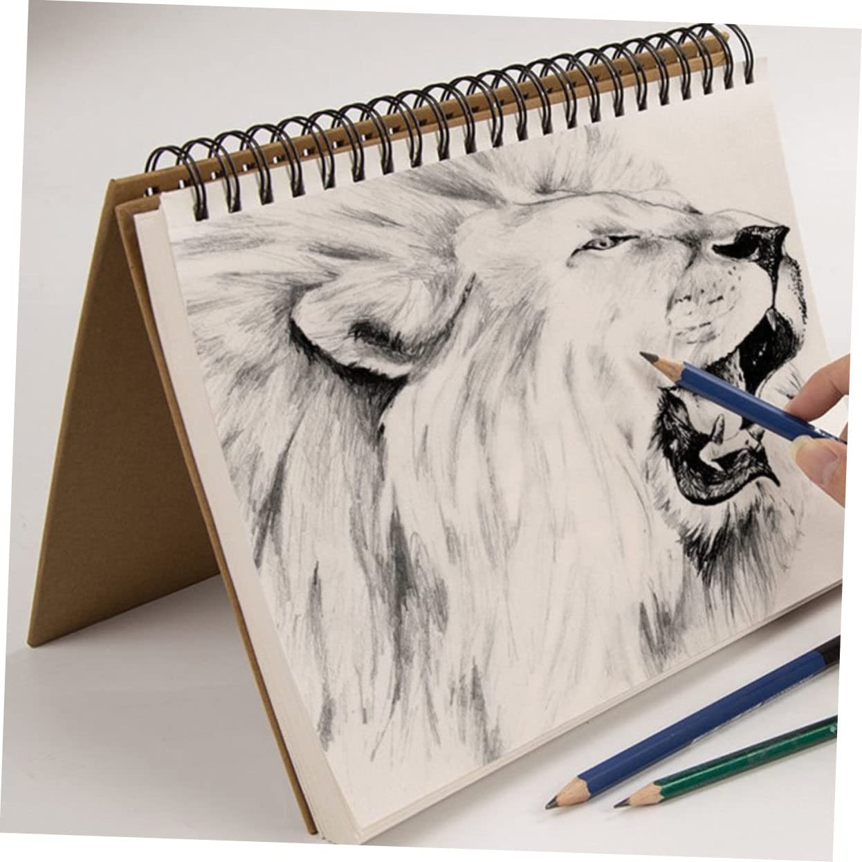 Carnet de Croquis à Spirale 60 Feuilles pour Dessin et Peinture