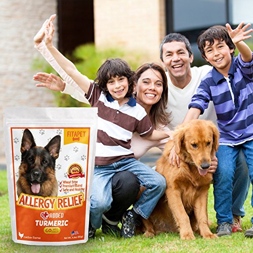 Fitapet Allergy Relief for Itchy Dogs with Turmeric, Omega3