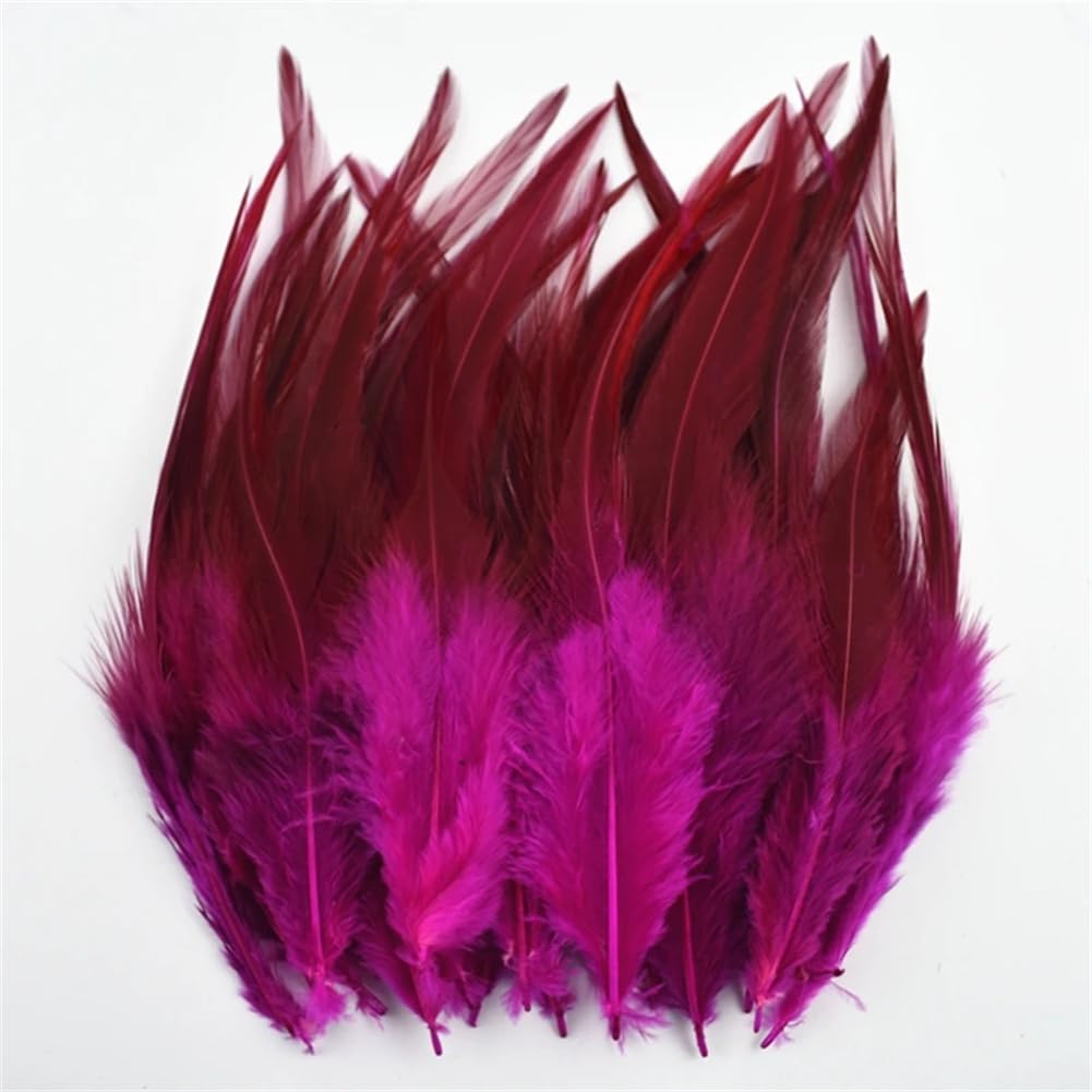 Natural Pheasant Feathers, Natural Pheasant Feathers Craft Pack of 50 Multicolor 10-15 cm
