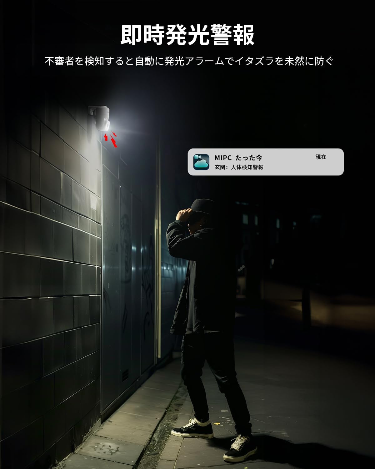 Camera activating a light alarm to deter an intruder at night