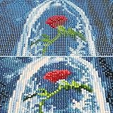 MXJSUA B07D5TMFDX lato 4