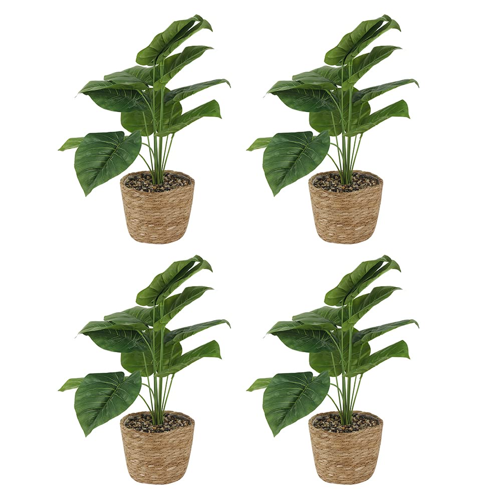 GIA 4 Pack Artistically Recreated Artificial Tropical Foliage Potted Plant with Natural Woven Planter, Green