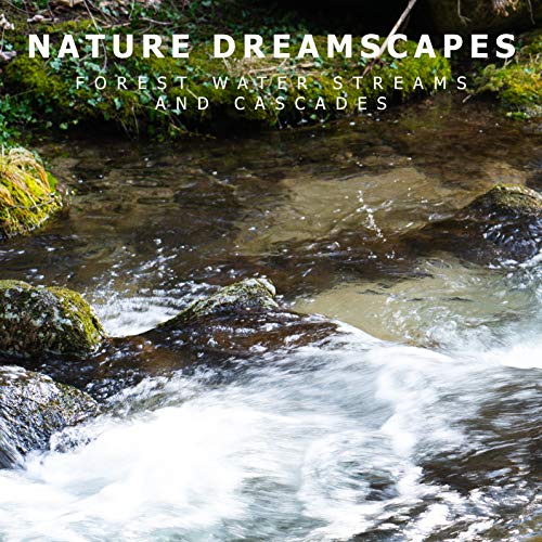 Nature Dreamscapes