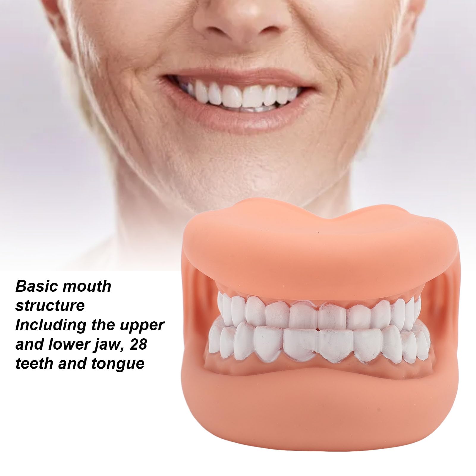 Mouth Puppet with Tongue Speech Learning, Soft Silicone Giant Teeth Dental Demonstration Model, Mouth Model for Brushing Teeth, 28 Teeth