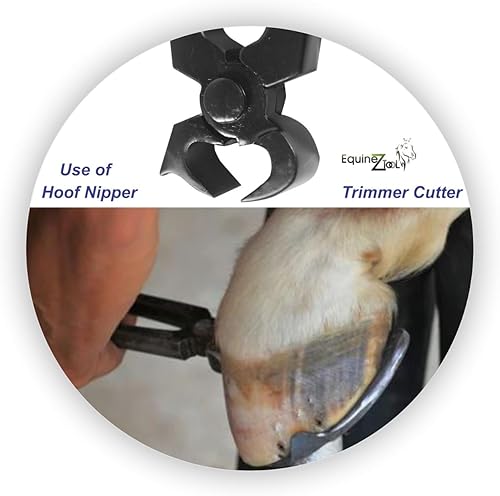 Miniatura 5 de Cortador de pezuñas profesional de 11.5 pulgadas para herradores, herramientas de cuidado de pezuñas de acero inoxidable de alta calidad con bordes