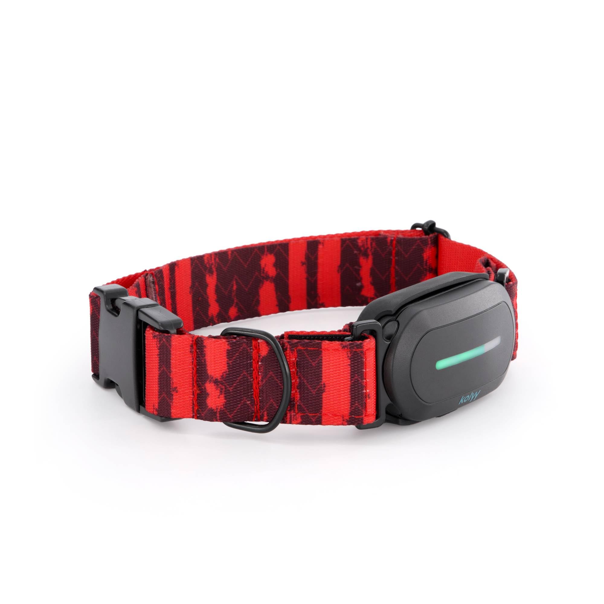 Kolyy Series 2 - Collar GPS para Perros Control vía App - Localización Internacional en Tiempo Real - Salud y Seguimiento - hasta 3 Zonas Seguras - Suscripción Necesaria - Fabricado en España