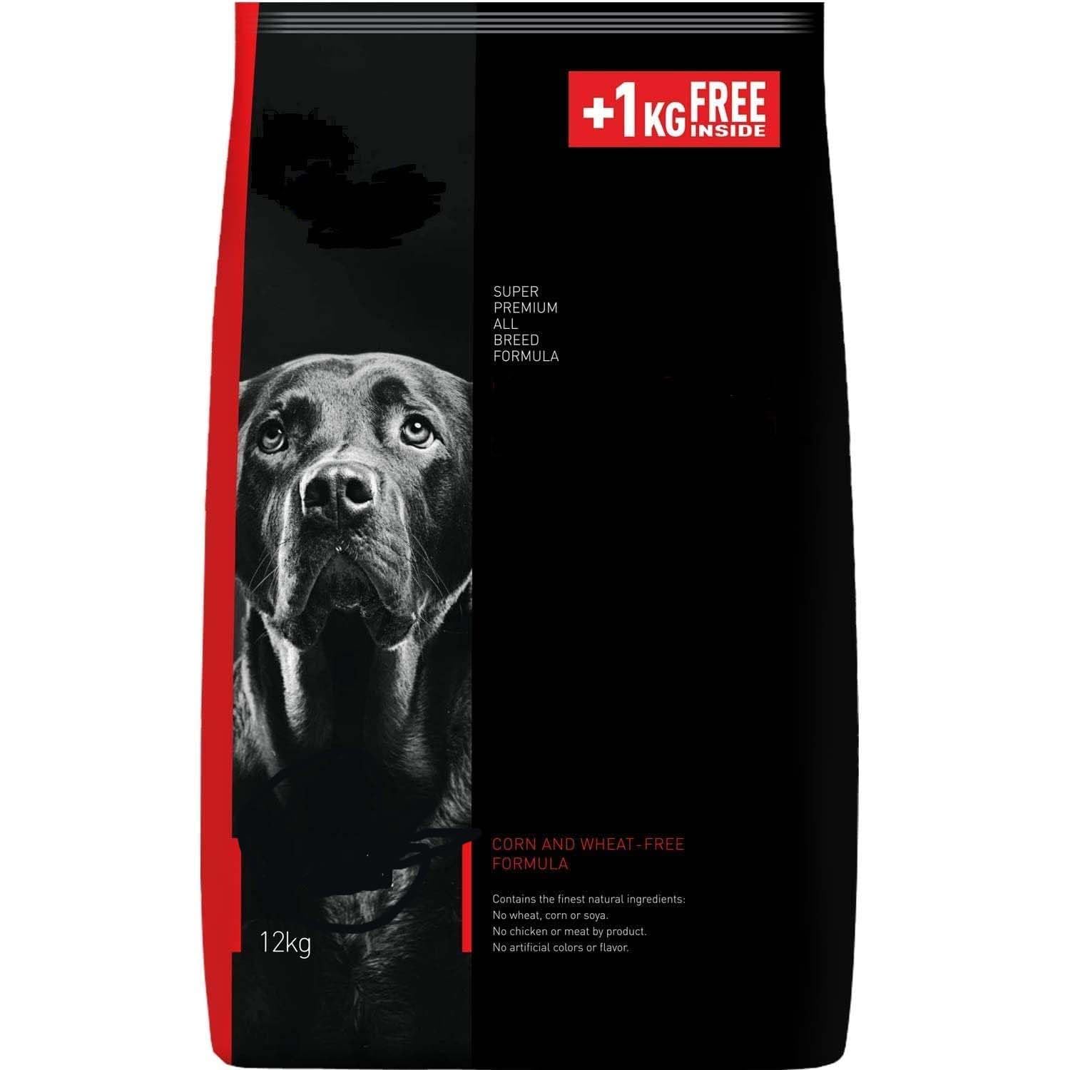 Focus Adult Super Premium Dry Dog Food, Chicken Floor, 8kg