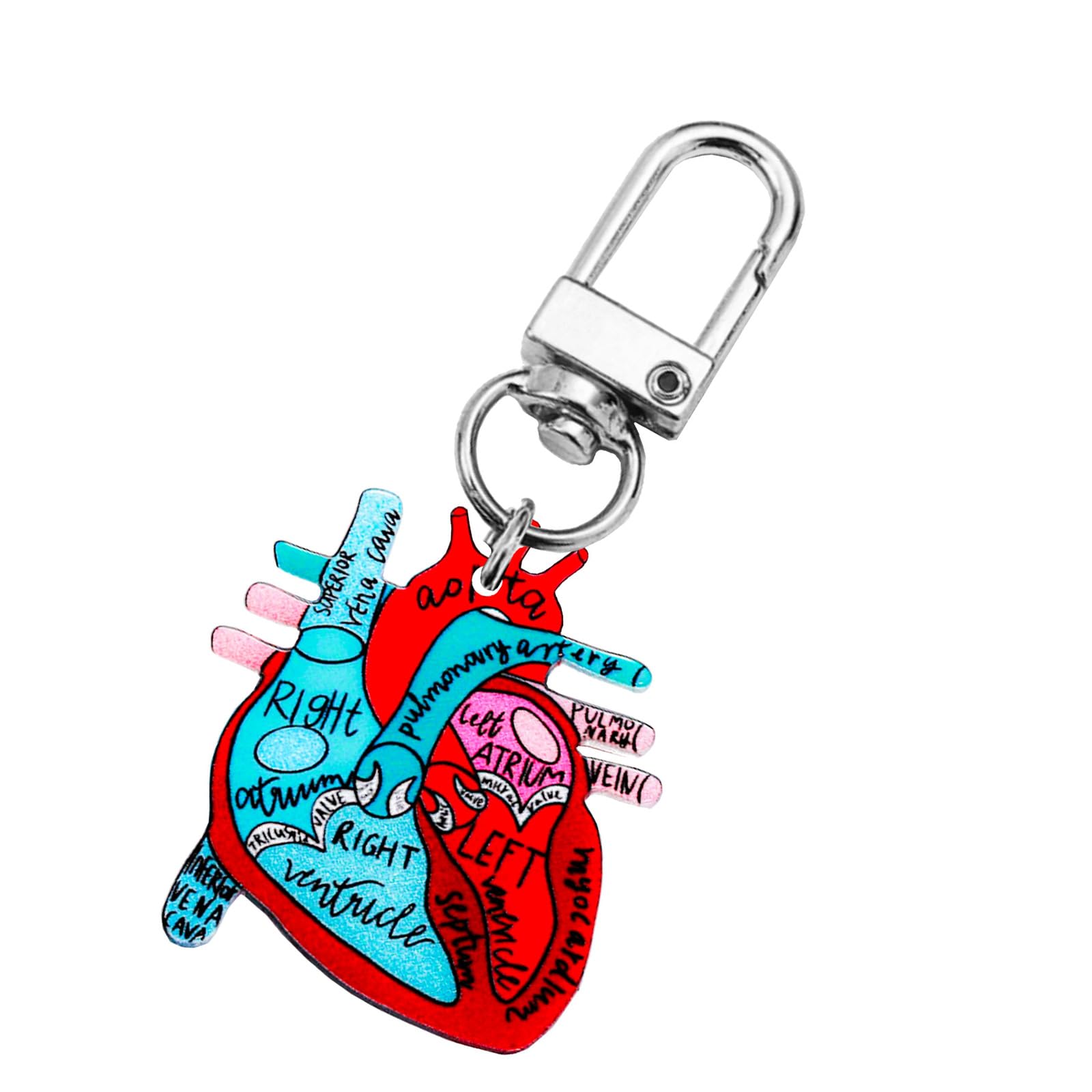 Gissroys Sturdy Acrylic Heart Schematic Keychain Unique Human Keychain Scientists and Those Interested in Biology Human Keyring
