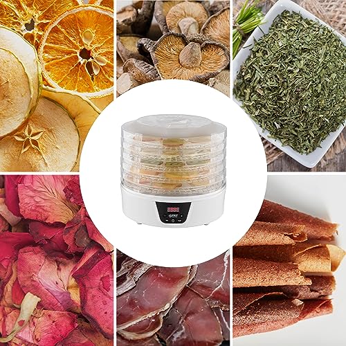 TZS First Austria Dörrautomat | Dörrgerät für Obst, Kräuter, Pilze & Fleisch | digital mit Timer & Temperaturregler 35-70°C | 5 Etagen, Einlageböden BPA frei, Dörrapparat mit Zeitschaltuhr – Bild 8