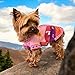BABY PINK Handmade Peruvian Dog Sweater. Zip up the back design makes it easy to put on. Sizes for dogs 1.5 lbs to 40 lbs. (6 (12-16 lbs))