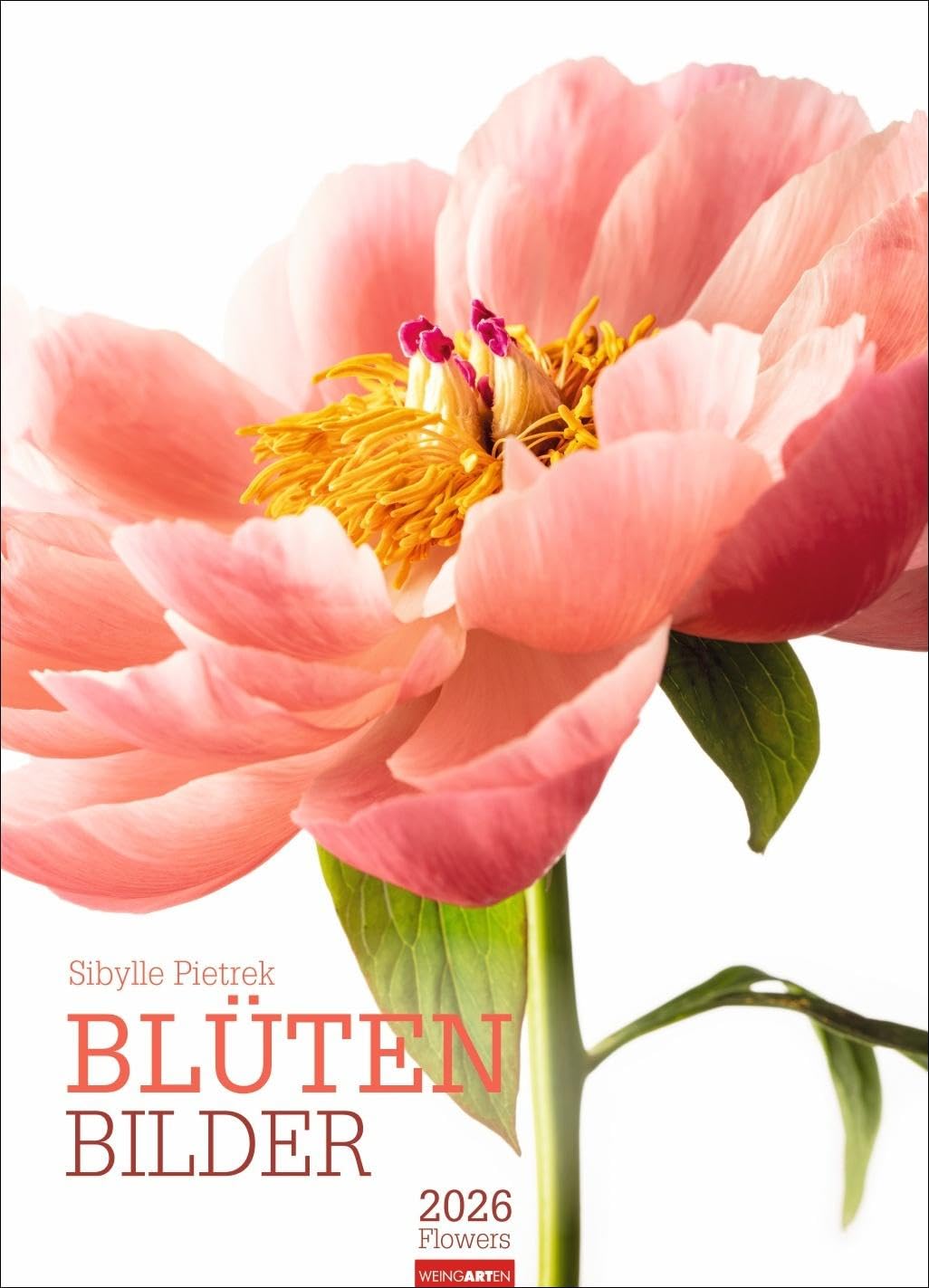 Blütenbilder Kalender 2026: Großer Jahres-Wandkalender mit stilvollen Fotos prachtvoller Blüten. Blumen-Kalender für die Wand. 49 x 68 cm. Hochformat