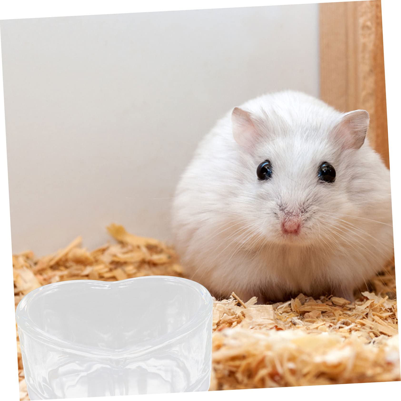 INOOMP 10stücke Transparente Anti-Spritz Futterschalen Für Hamster Chinchillas Und Kleine Nager rutschfest Und Langlebig Für Sicheres Füttern Der Tierhaltung