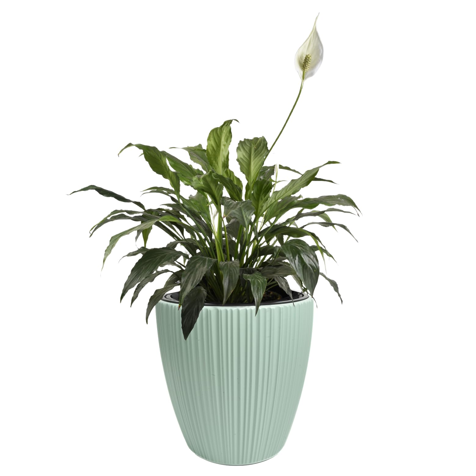 B2C Flowerpot Ridged Planter with removable insert Indoor Outdoor Modern Vertical grooves textured for home office patio garden decoration (Sage, W40cm x H40cm)