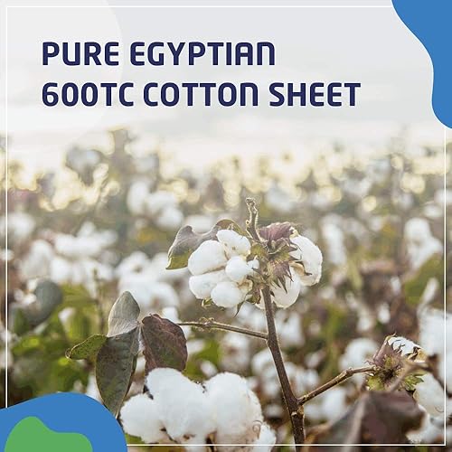 Miniatura 4 de PLUSHY COMFORT Juego de sofá para cama matrimonial, color blanco, 100 algodón egipcio, 600 hilos, (54 x 72 x 6 pulgadas)