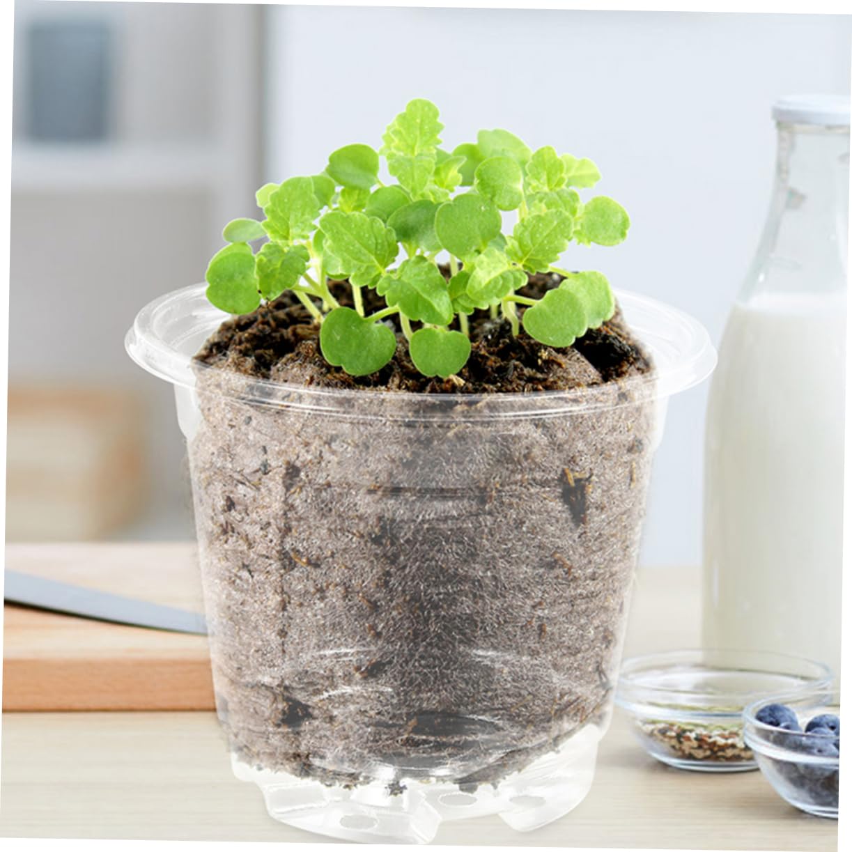 TOYANDONA Lot de 10 Sets de Petits Pots de Fleurs avec Couvercle Trous de Drainage Ajustement Température Humidité Jardinage Intérieur Extérieur