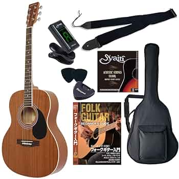 Amazon | HONEY BEE ハニービー アコースティックギター