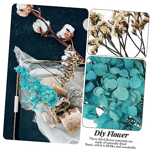 Set de flores secas para manualidades decorativas miniatura 6