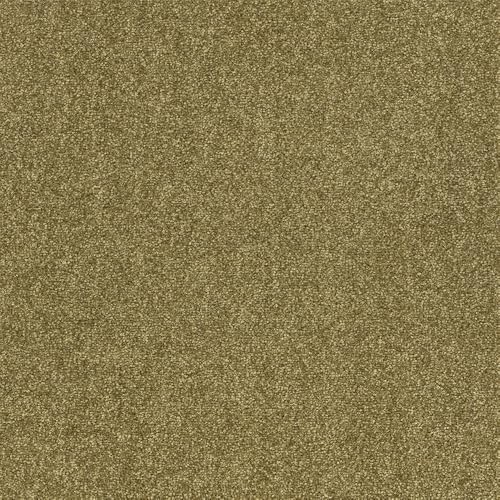 ^CJ[ybg 􂦂  XNGA2400 FF2400 10Zbg 50×50cm (FF2414)