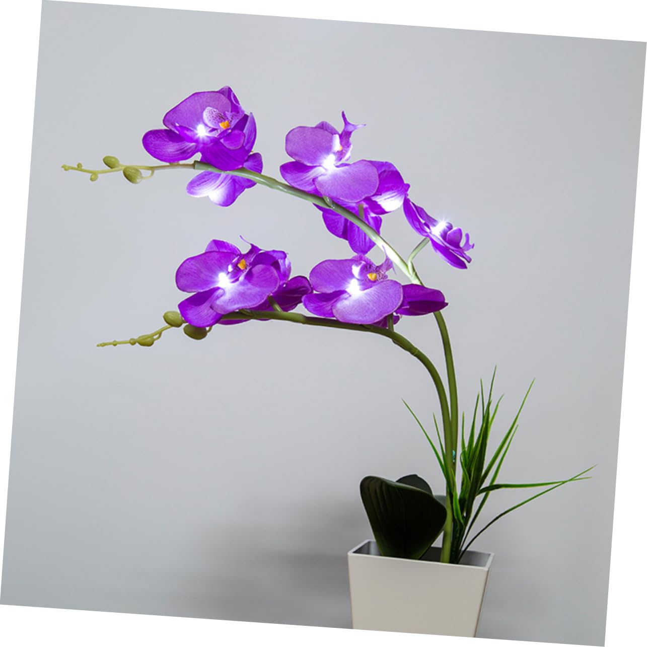 Zerodeko Lámpara LED de Orquídea Púrpura Flores Artificiales