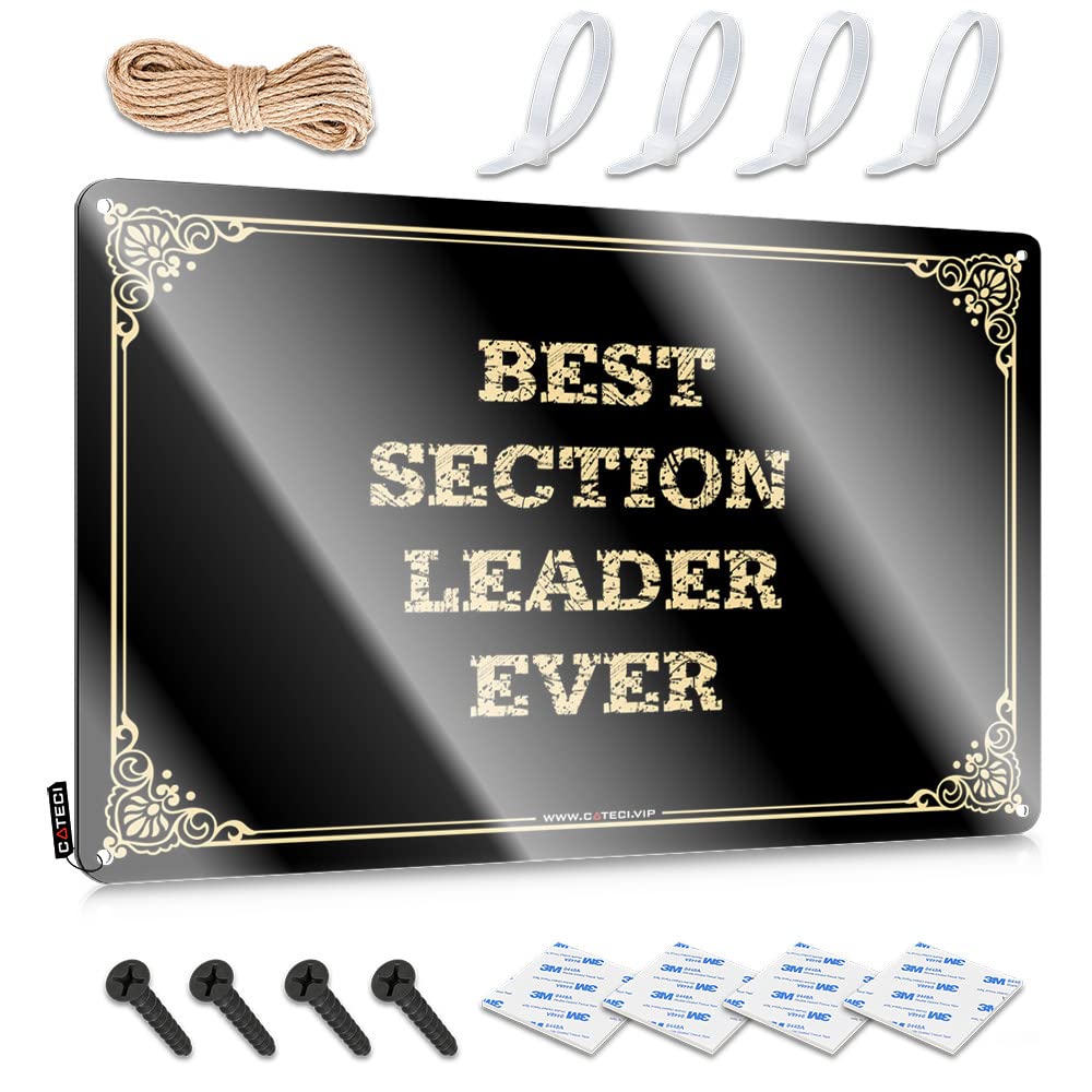 MWFKKADDB Bar Mirrors For Man Cave Best Section Leader Ever Tin Sign Funny Man Cave Signs Decaor Sign(30X40CM)