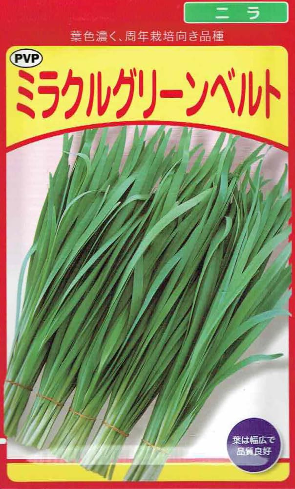 ニラい Amazon.co.jp: 武蔵野種苗 ニラ ミラクルグリーンベルト 20ml : DIY