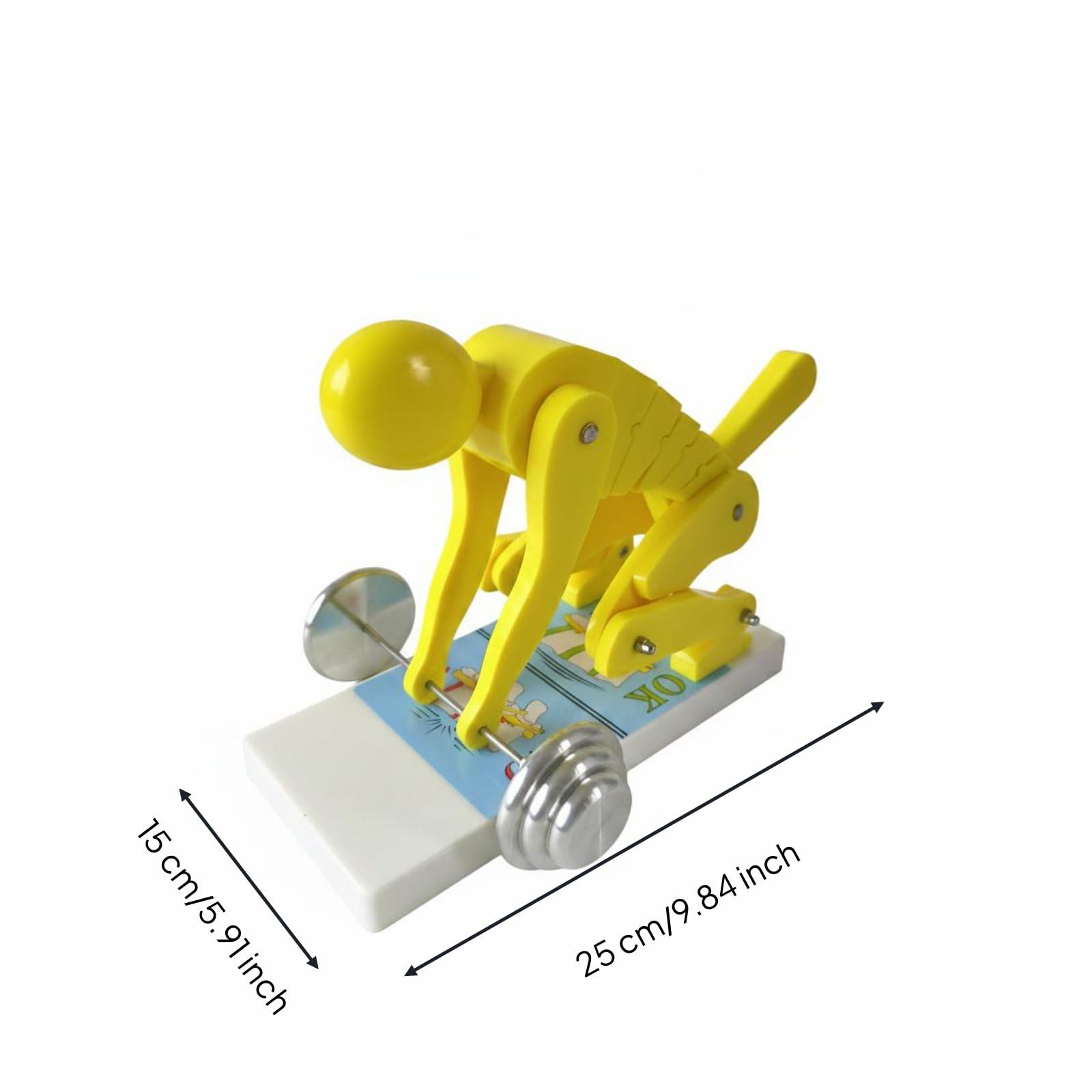 Spine Modello Schiena Didattico Struttura Corporea Supporto Dimostrazione Posturale Adatto per Classe Allenamento Forma Corpo, Giallo