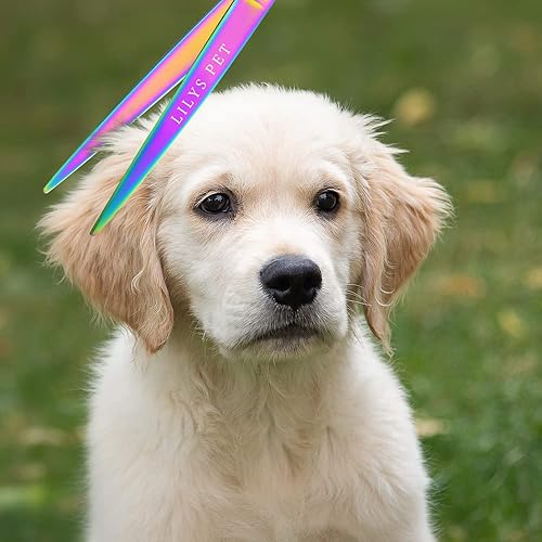 Miniatura 5 de LILYS PET High-end Series 8 pulgadas Japón 440C Color arco iris Pet Grooming Tijeras de corte recto tijeras rectas para perro gato y perro