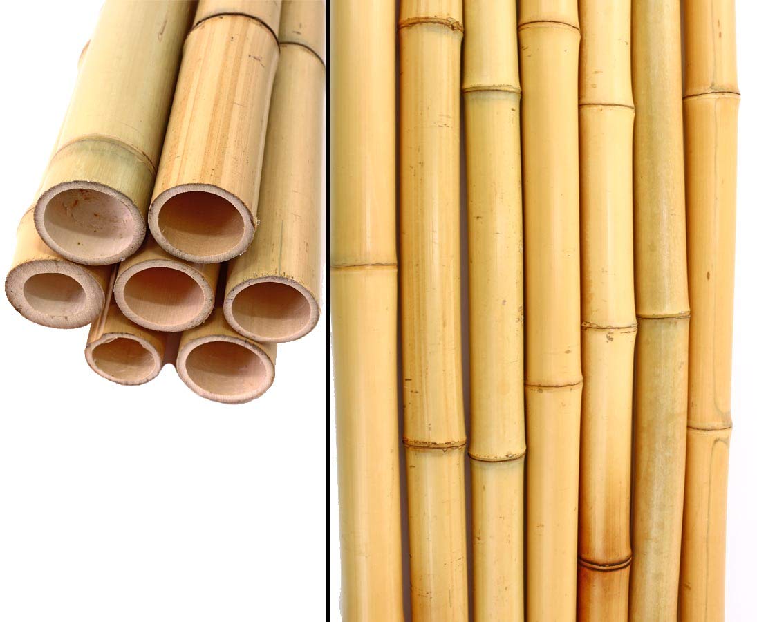 Amazon.de: bambus-discount.com 200cm Bambusrohr lackiert Tokio mit  3,5-4,5cm Durchmesser - 2m Bambusstange mit Klarlack Lackierung