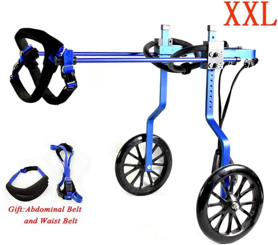 sedie a rotelle per cani di grandi dimensioni