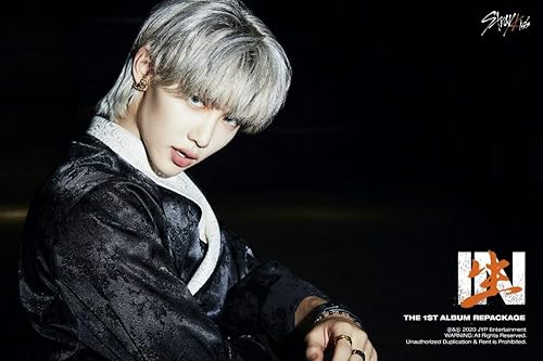 Miniatura 8 de Stray Kids en la vida 1er álbum reempaque Normal A Ver 72p PhotoBook+2p PhotoCard+1p Postal+Seguimiento Kpop sellado