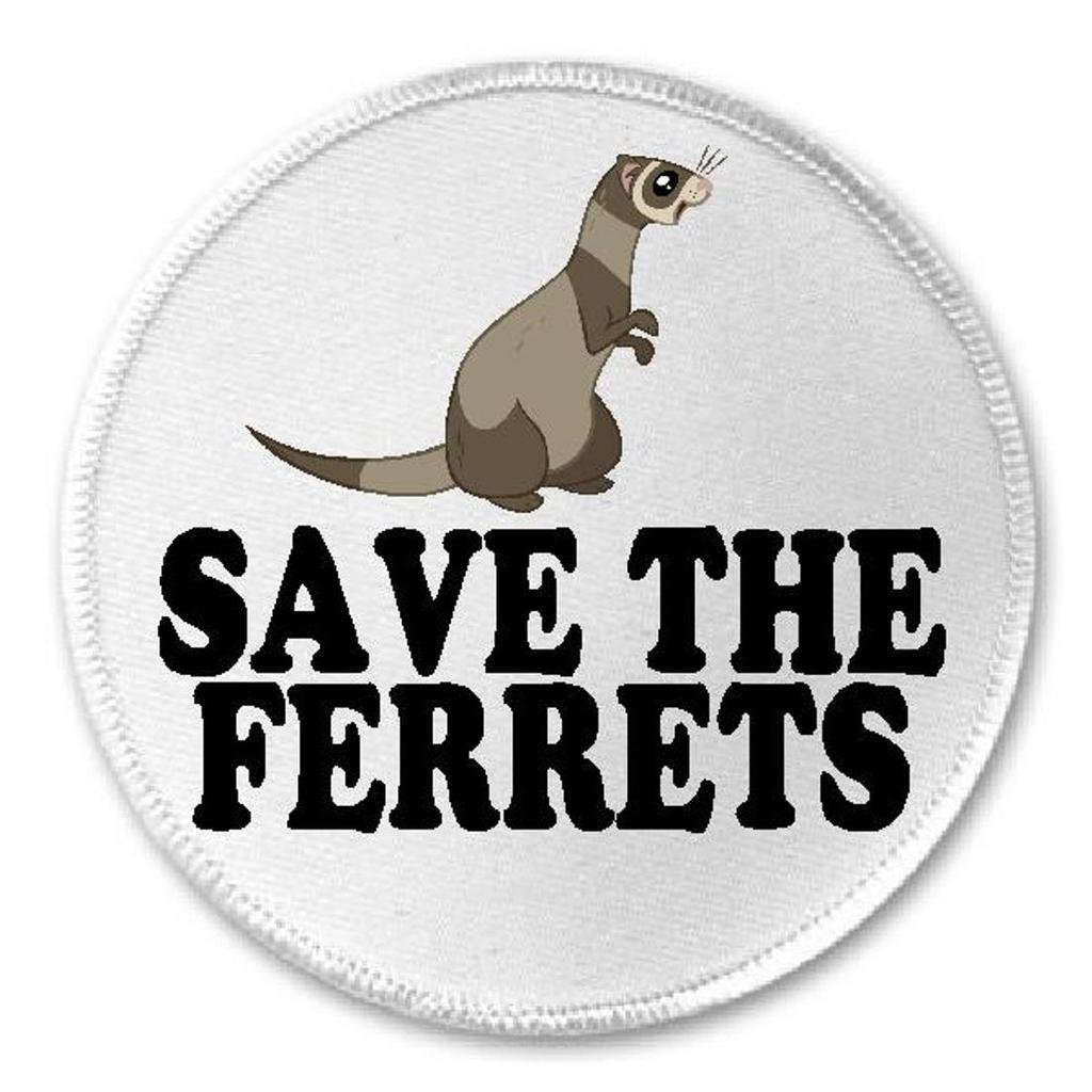 Save The Ferrets - 3
