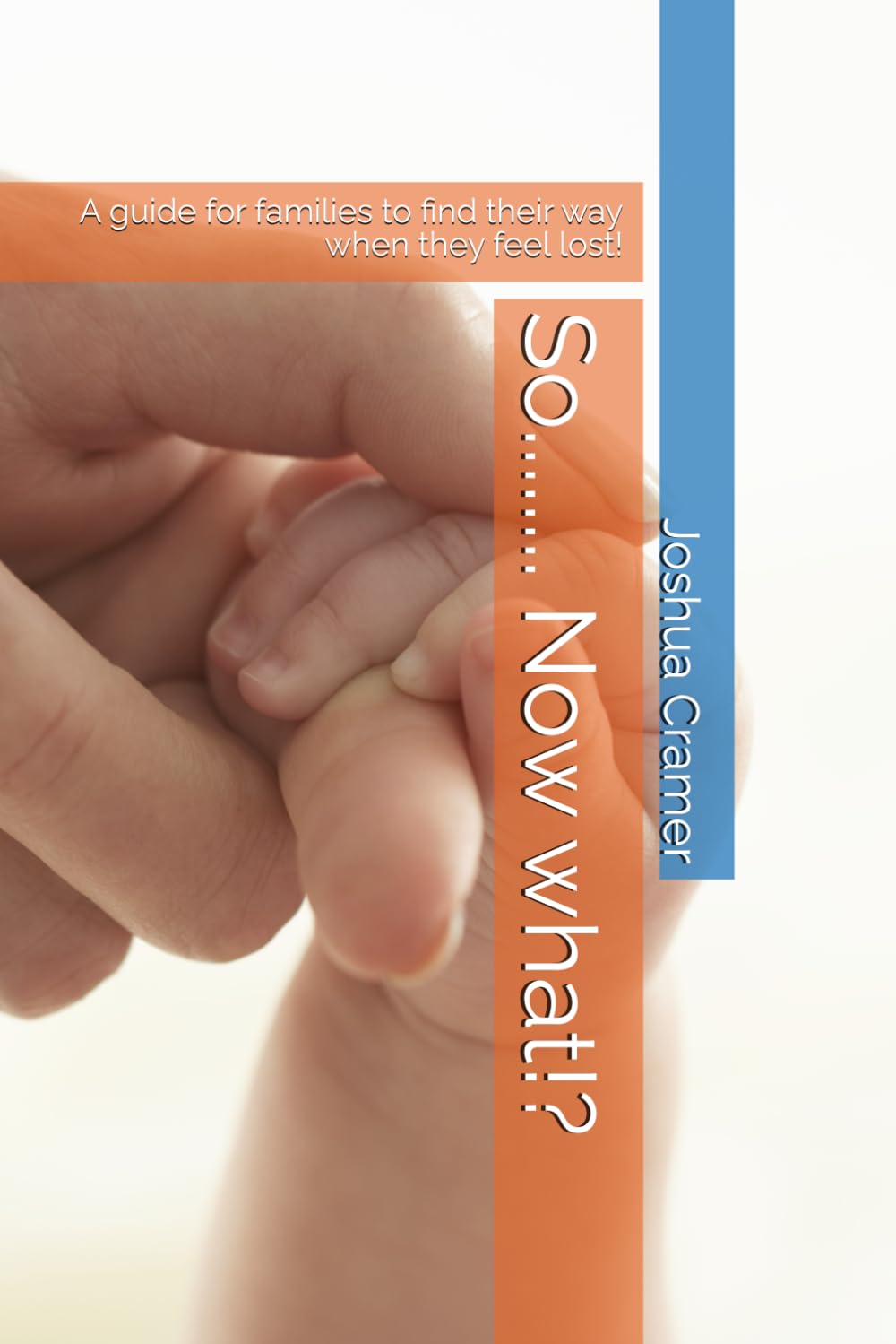 So........ Now what!?: A guide for families to find their way when they feel lost! (Society Unleashed)