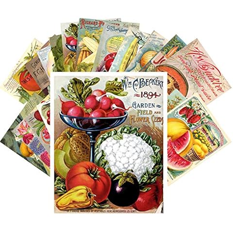 Postcard Pack 24pcs Veges and Fruits Vintage Seed Pockets Gardens Cover