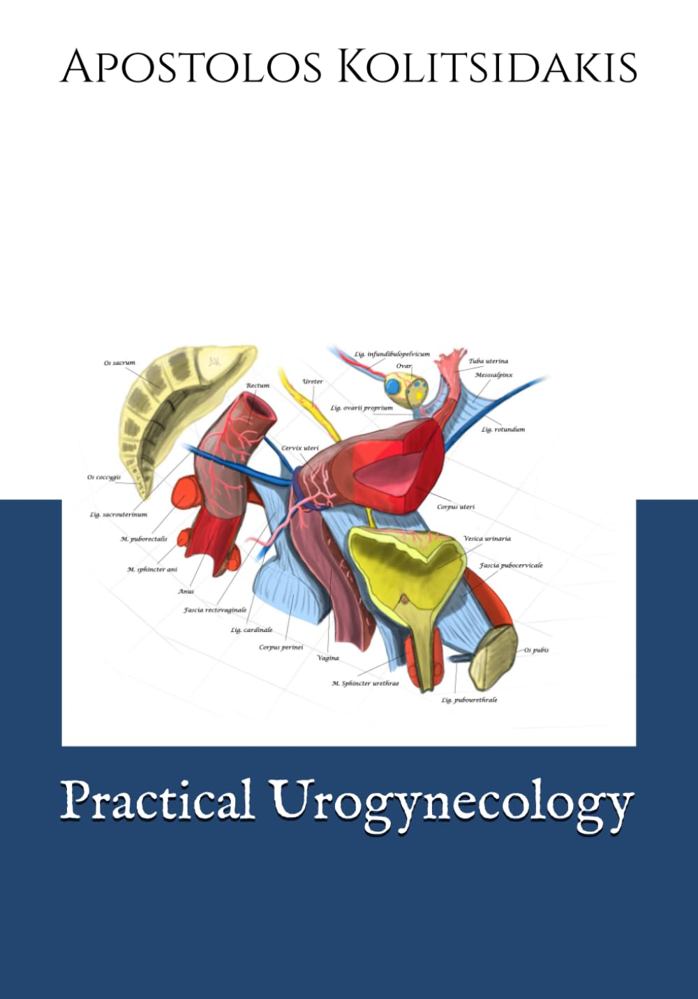 Practical Urogynecology