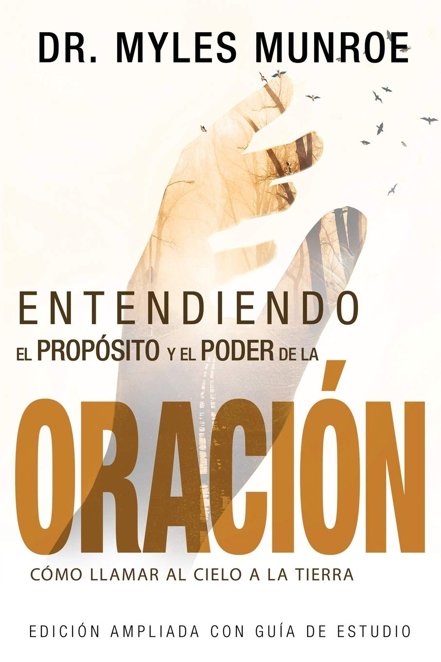 Entendiendo el Propósito y el Poder de la Oración: Cómo Llamar al Cielo a la Tierra (Spanish Edition)