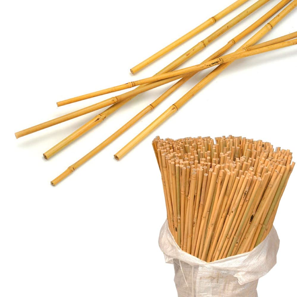 Bamboo Canes 5ft - Heavy Duty Garden Canes for Plants Flower Support Pole Sturdy Sticks Stakes Outdoor Indoor, Range of pack 10, 20,30,40,50,100 (30) — image 1