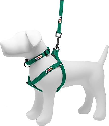 Pawtitas Paquete económico  Arnés para perro mediano + collar mediano + correa para perro medianagrande de 6 pies, juego verde exuberante