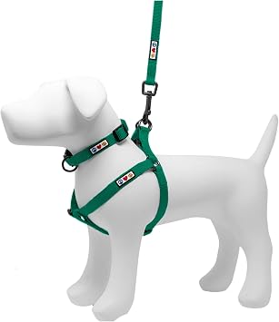 Pawtitas Value Bundle Set | Small Step in Dog Harness + Small Dog Collar + Extra Small/Small 6ft Dog Leash - Lush Green Set