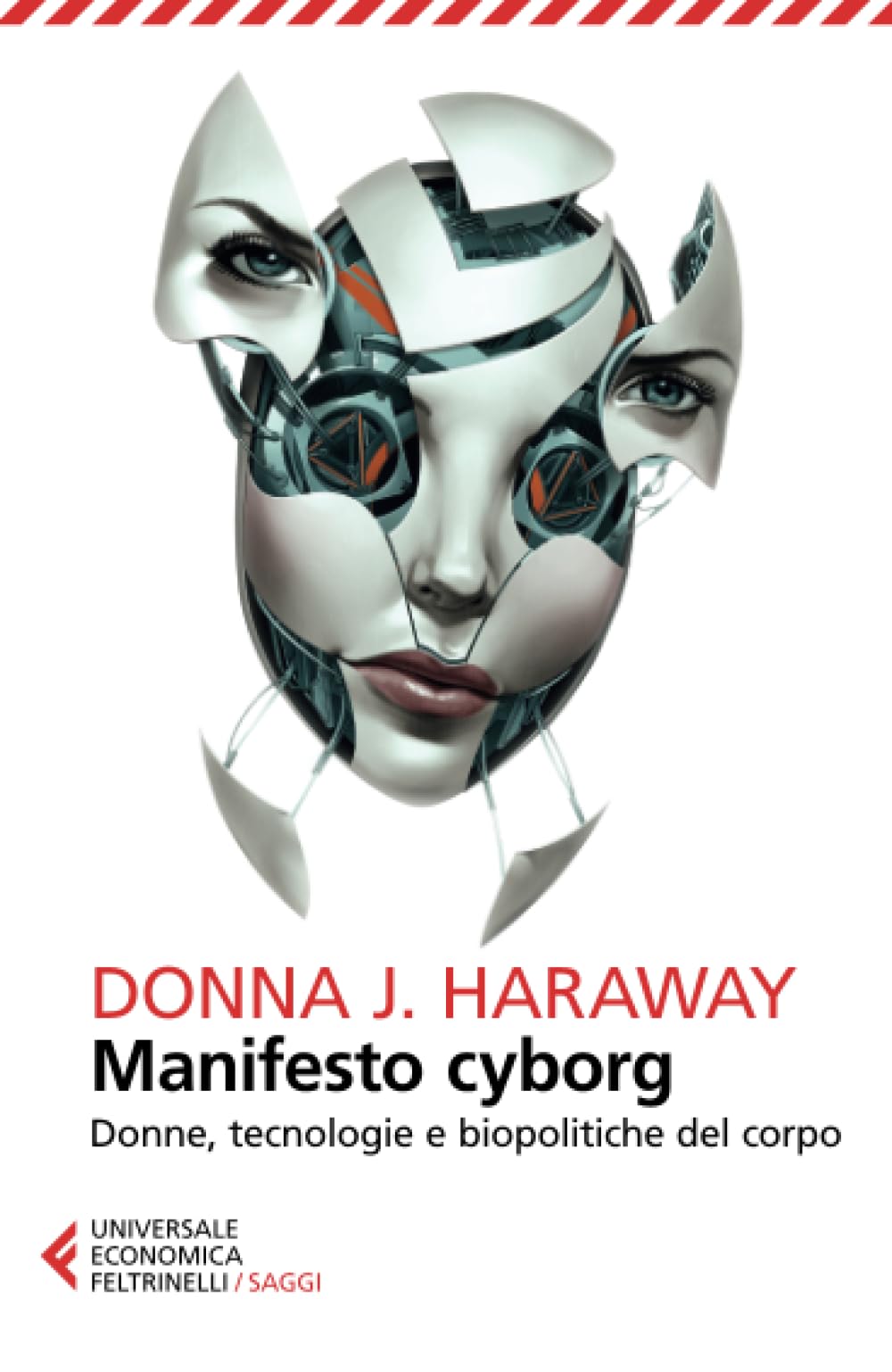 Manifesto cyborg