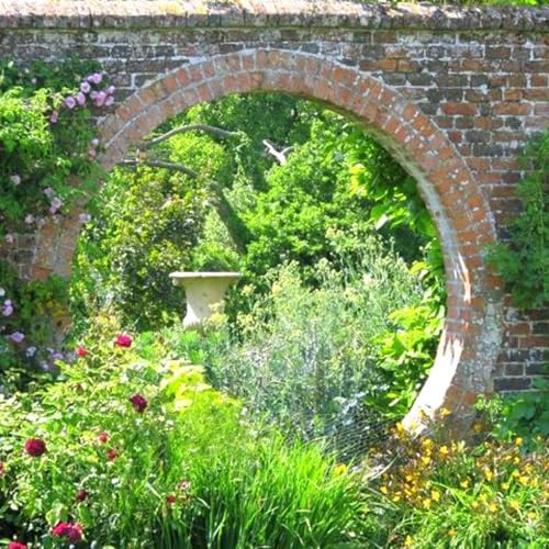 Season 4 Episode 17 Uncommon 8 Letter Words Probability 3000-3500