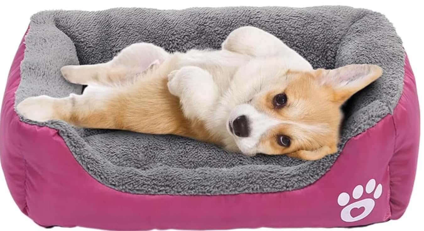 Coussin pour chien étanche et lavable avec tapis de couchage doux rose pour petit chiot et chat