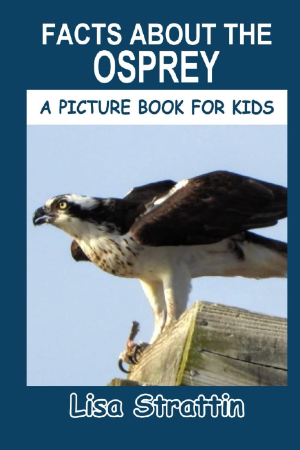 Facts About the Osprey