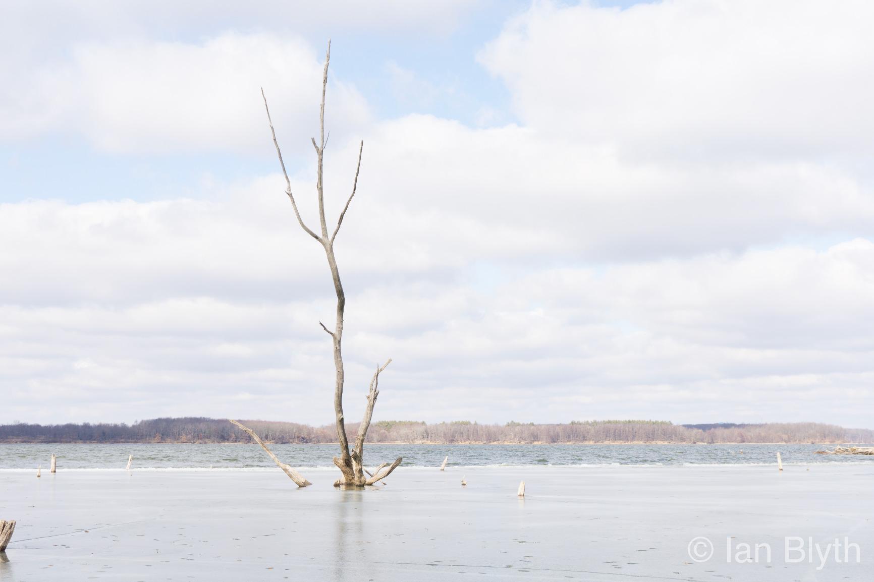 My new everyday carry camera : )