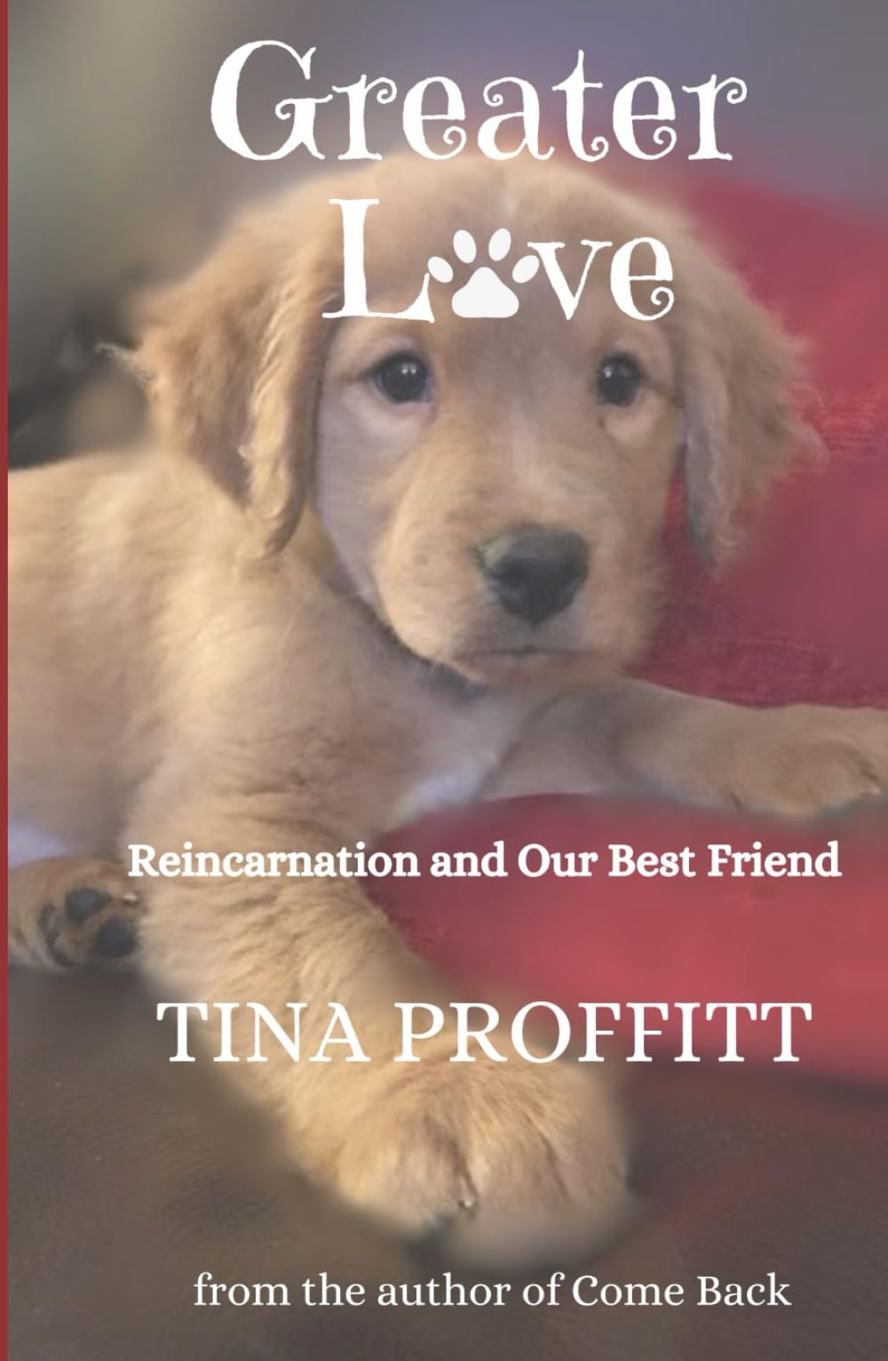 Greater Love: Reincarnation and Our Best Friend