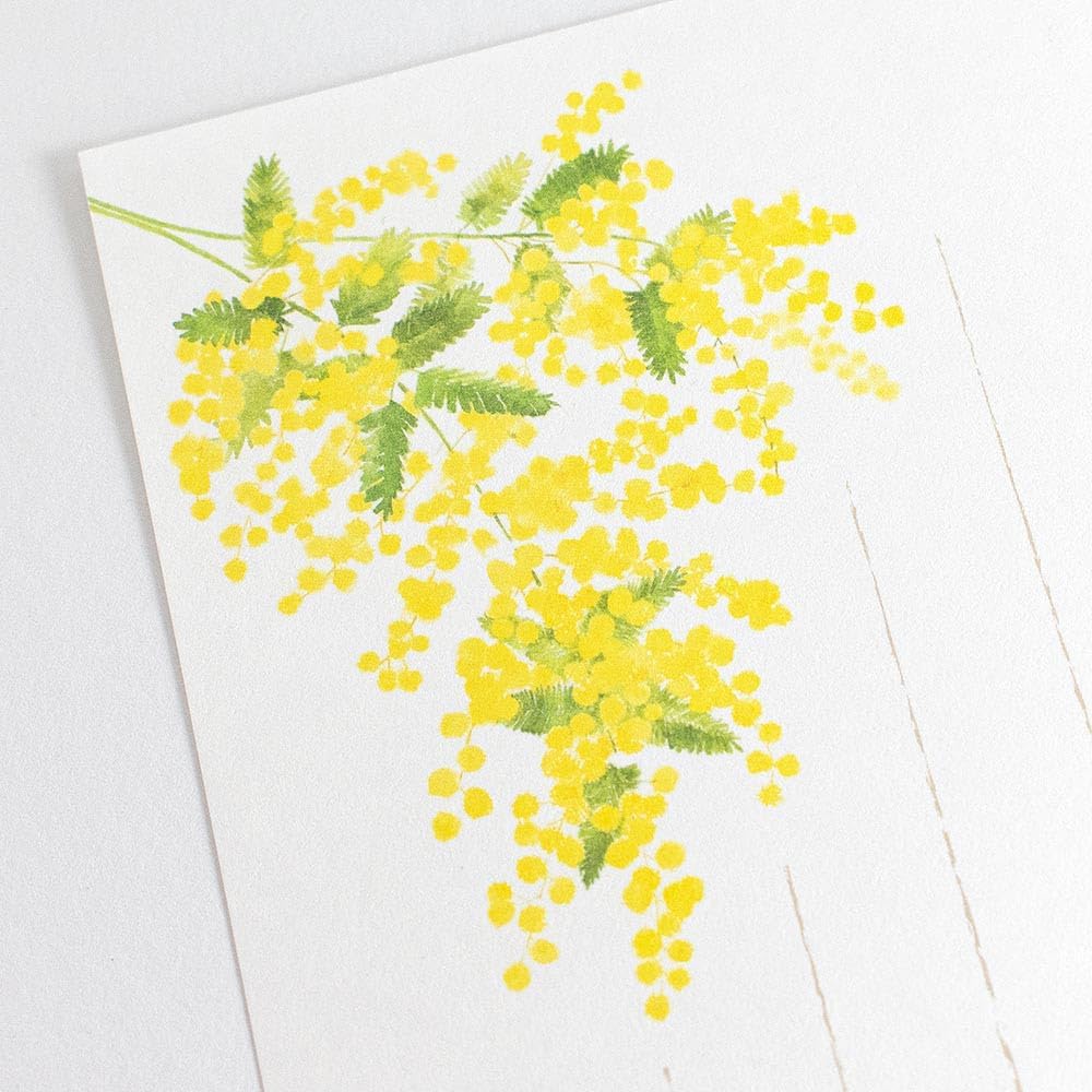 Nuby, Spring 3 Shu, Swaying in The Spring Breeze Stationery and Envelope Set | 18 Sheets B5 Equivalent Vertical Writing Washi [Envelope] 5 Sheets Oblong No. 4 Envelopes