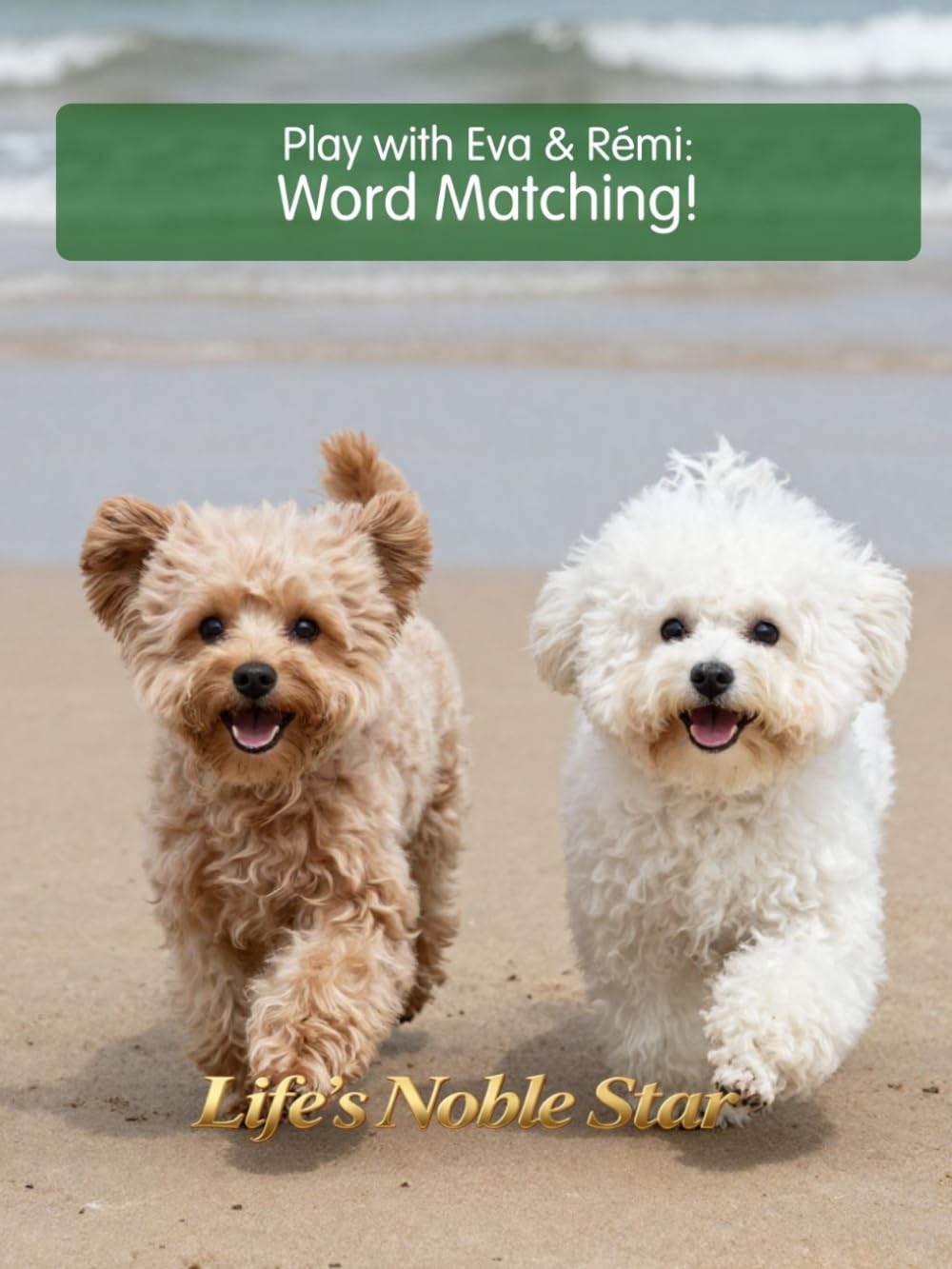 Play with Eva and Rémi: Word Matching!_Volume 3 (Life's Noble Star)