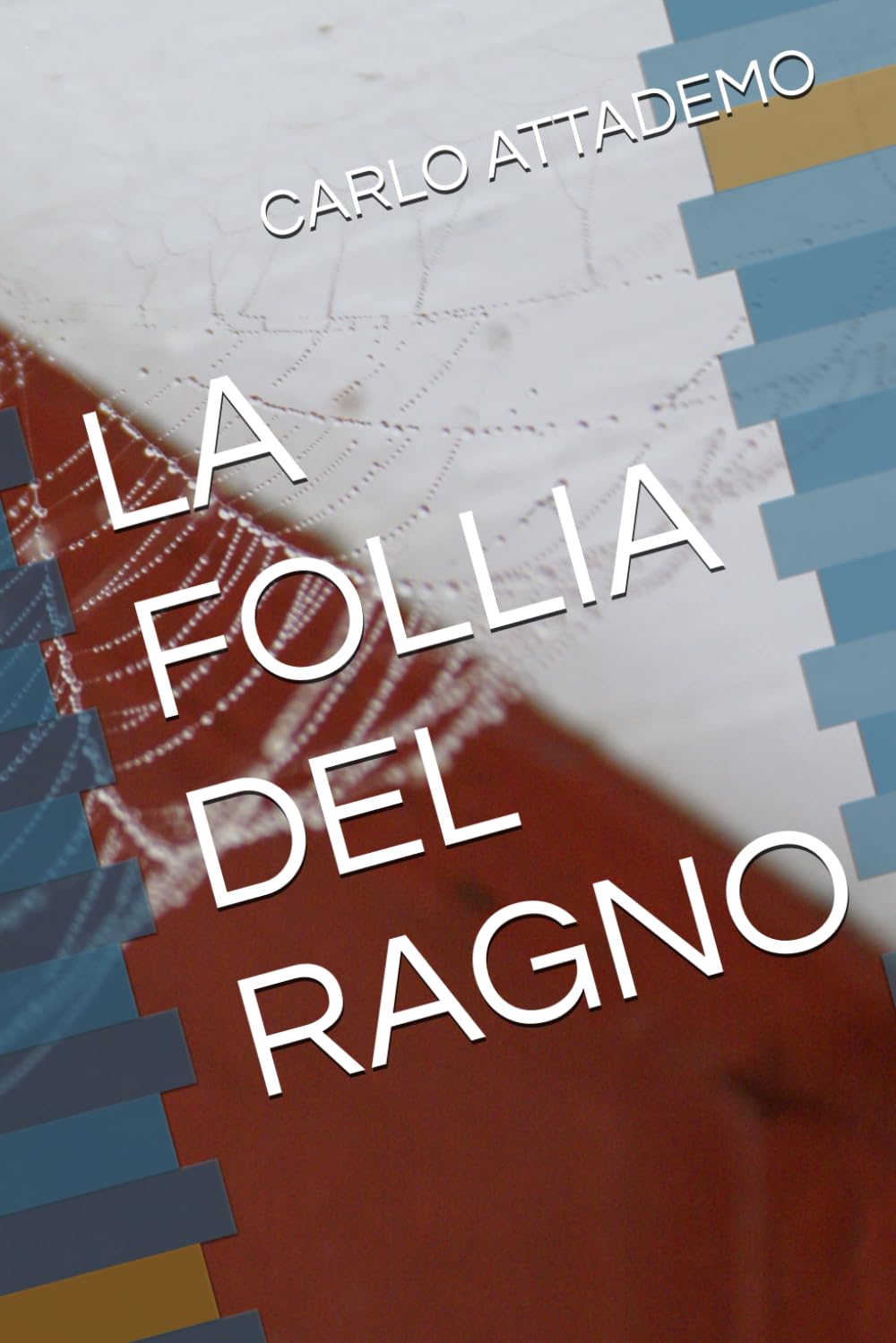 LA FOLLIA DEL RAGNO